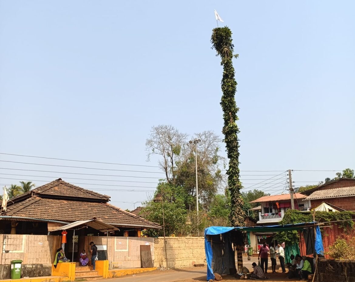 साळशी येथील इनामदार श्री देव सिद्धेश्वर पावणाई देवस्थानाचा पारंपरिक शिमगोत्सव
