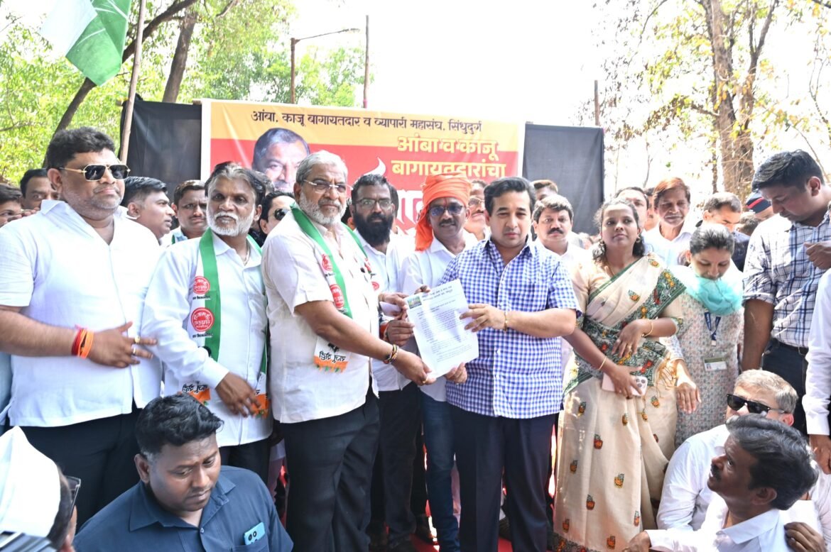 *आंबा- काजू पिकाच्या नुकसानीवर सरकार गंभीर;नुकसान भरपाई देणार*