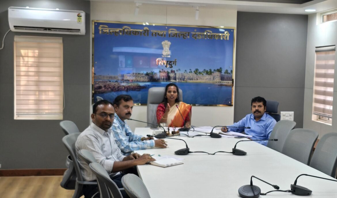 जिल्हाधिकाऱ्यांनी घेतला गॅस पुरवठ्याचा आढावा