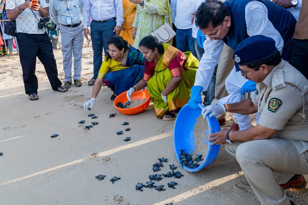 *’कासव महोत्सव’ केवळ पर्यटन उपक्रम नसून पर्यावरण संवर्धनाची चळवळ*
