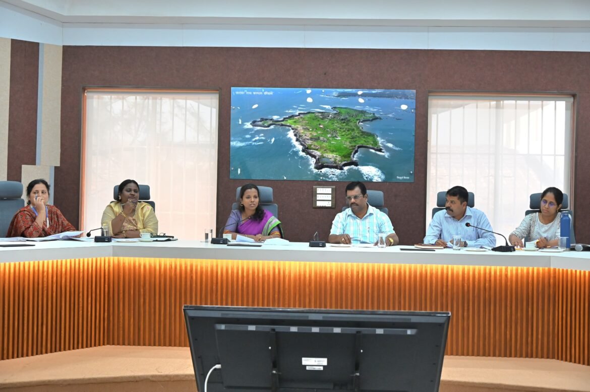 _मान्सूनपूर्व तयारी आढावा बैठक_