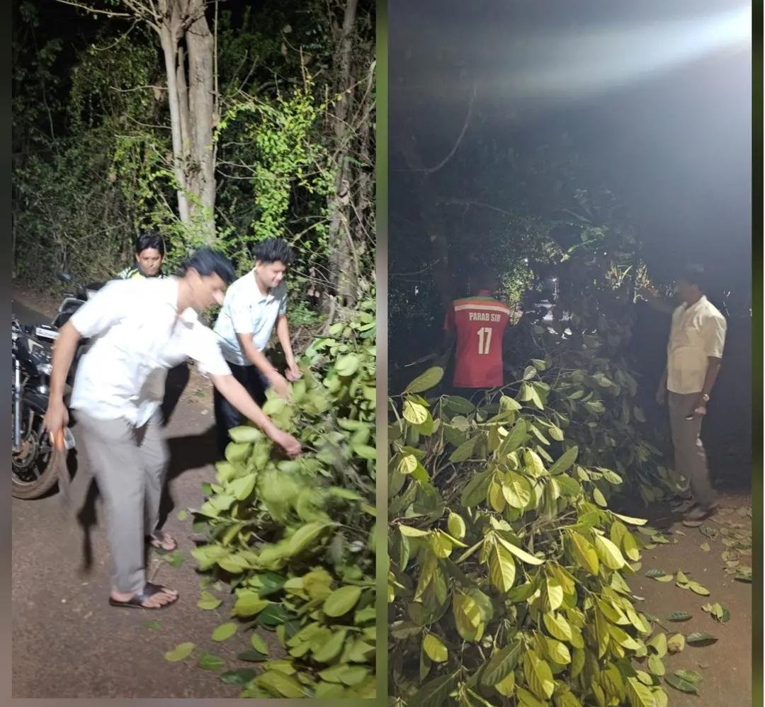 रस्त्यावर कोसळलेल्या फणसाच्या झाडामुळे वाहतूक ठप्प; संतोष नानचे यांच्या तत्परतेने मार्ग मोकळा