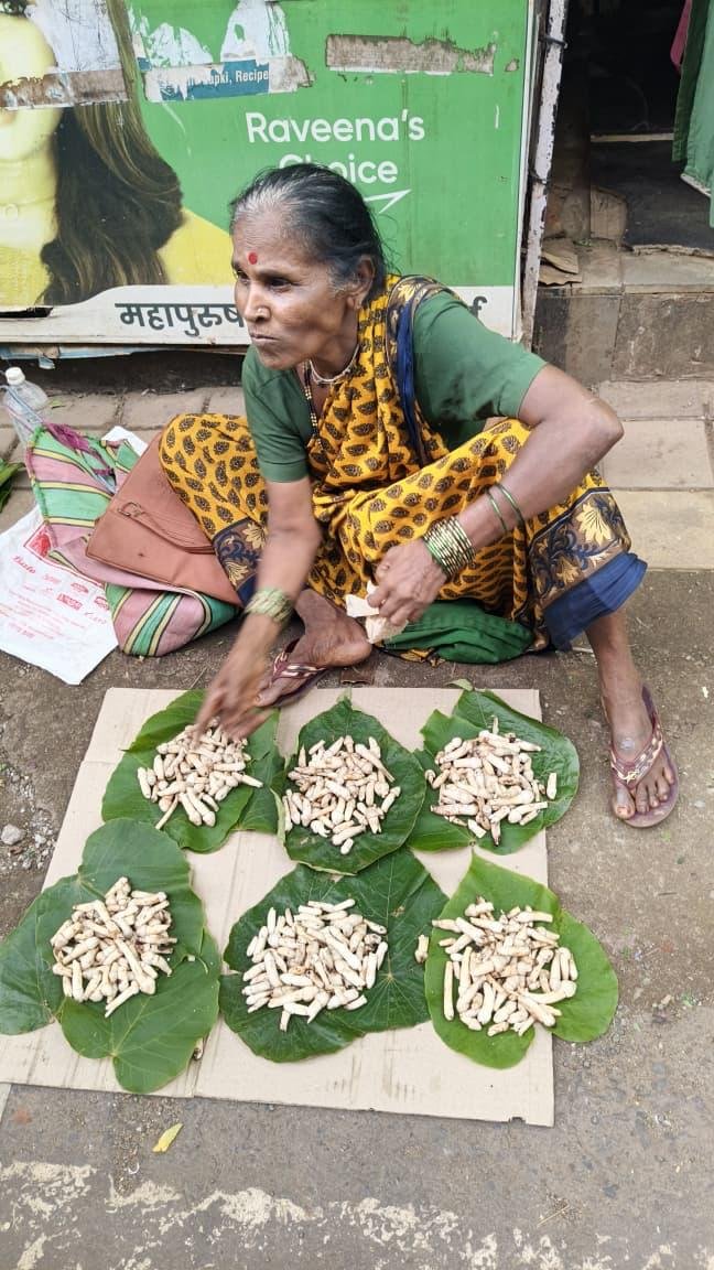 कोकणचा अस्सल ‘रानमेवा’ बाजारात दाखल; पेडावरील अळंबीला खवय्यांकडून मोठी पसंती!