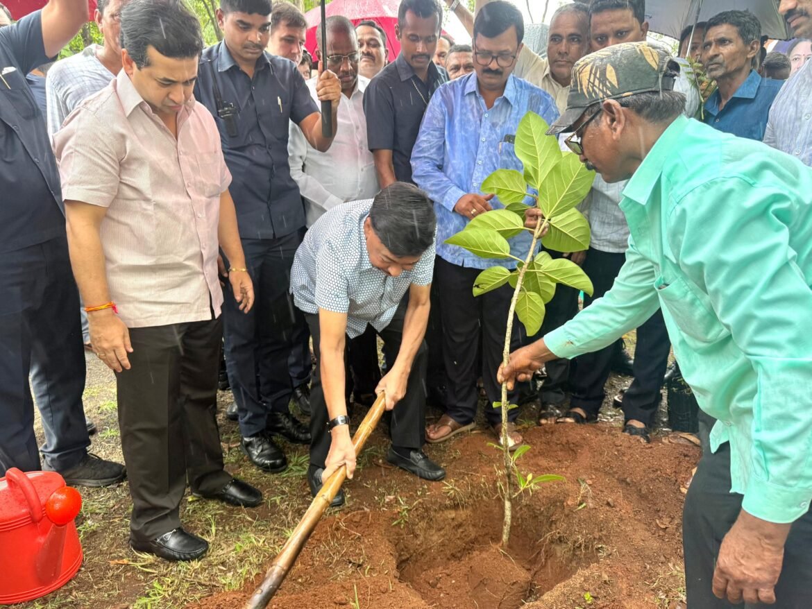 खासदार नारायण राणे यांच्या अमृत महोत्सवी वर्षानिमित्त हरकुळ बुद्रुकमध्ये वृक्षारोपण – खासदार नारायण राणे*