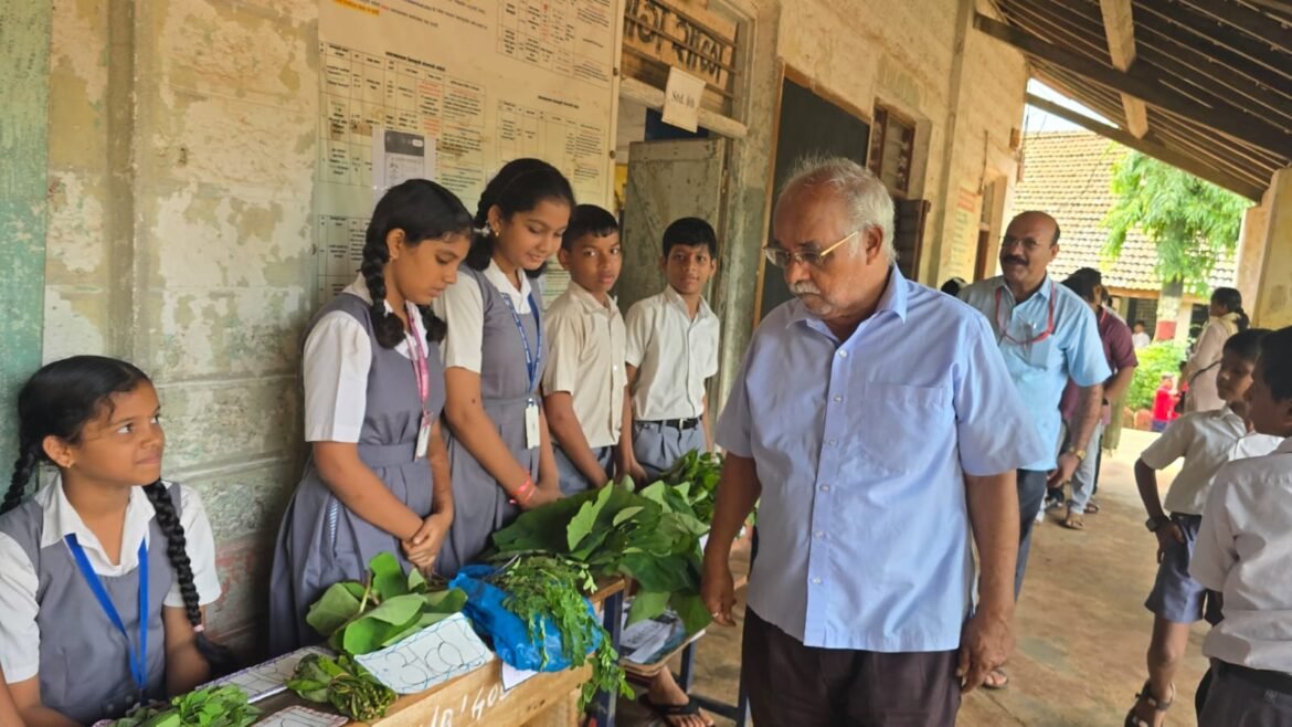 विद्यामंदिर कणकवली मध्ये निसर्गातील रानभाज्याचे प्रदर्शन व विक्री उपक्रम उत्साहात साजरा